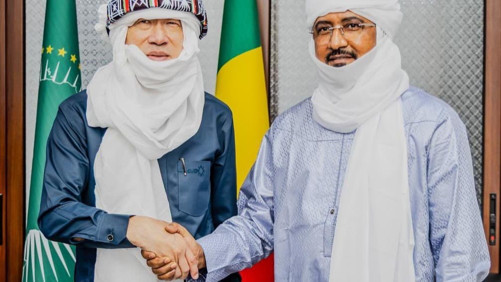 Mali-PNUD : Bamako veut davantage mobiliser sa diaspora au service du développement
